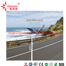 30W 8m Pole LED Outdoor Solar Street Lighting with Gel Battery Lithium Battery